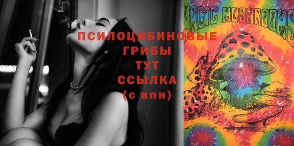 соль курить ск Тайга