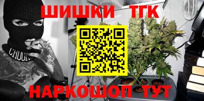крисы Абакан