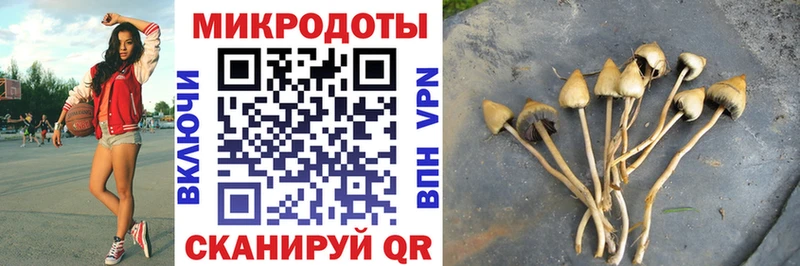 Псилоцибиновые грибы Magic Shrooms  купить  сайты  Геленджик 
