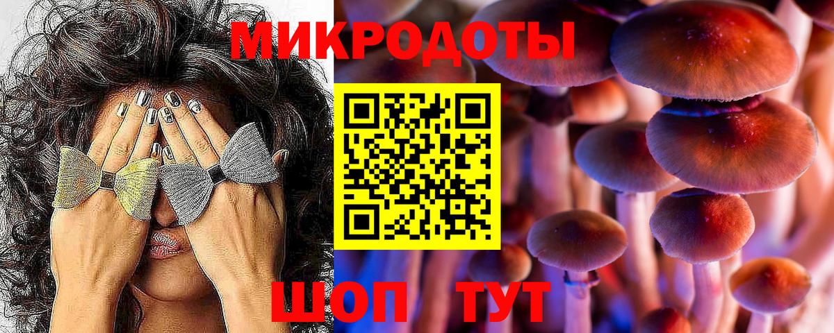 Галлюциногенные грибы Magic Shrooms Геленджик